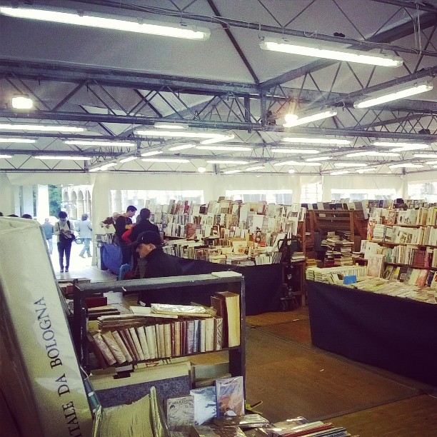 Bologna, libri, tanti.